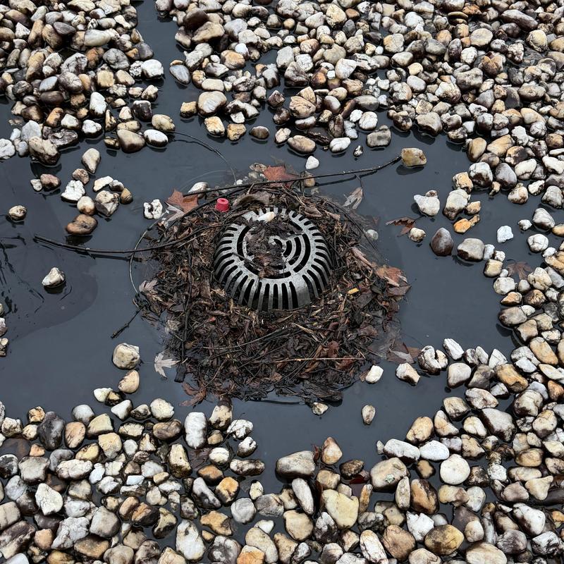 Clogged commercial roof drain with ponding water and debris Clogged commercial roof drain with ponding water and debris