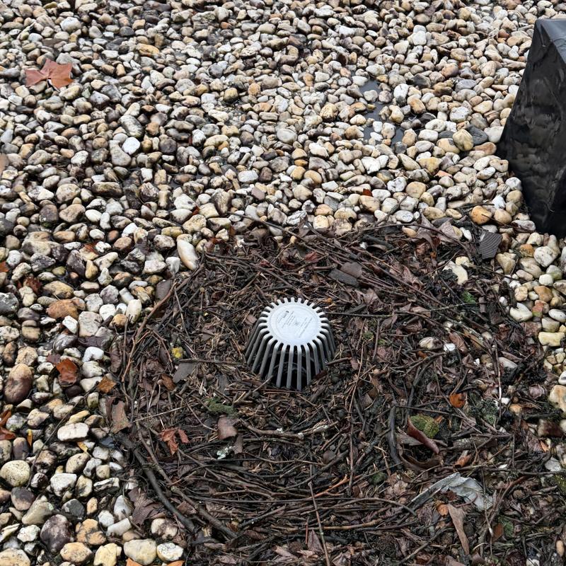Clogged roof drain with surrounding debris on ballast roof Clogged roof drain with surrounding debris on ballast roof