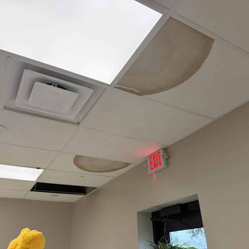 Ceiling tiles with water stains and damage Ceiling tiles with water stains and damage