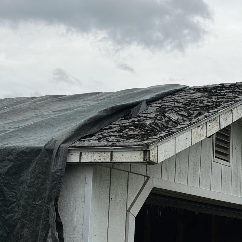 Storm-damaged asphalt shingle roof with tarp cover Storm-damaged asphalt shingle roof with tarp cover