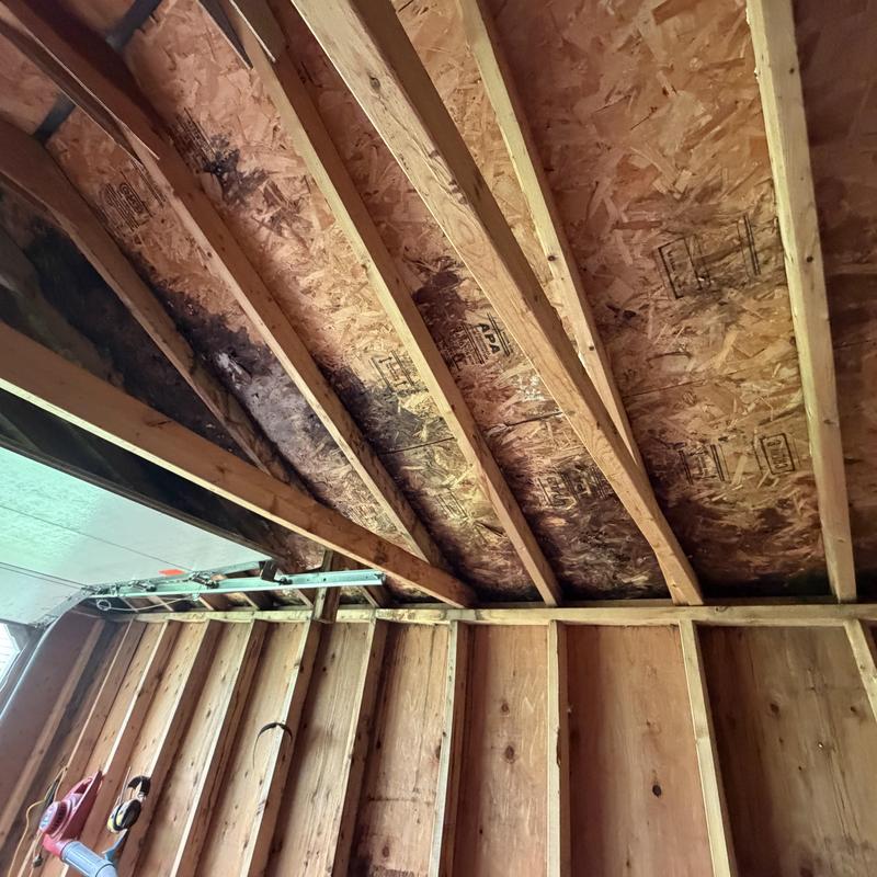 Roof decking with water damage and mold stains Roof decking with water damage and mold stains