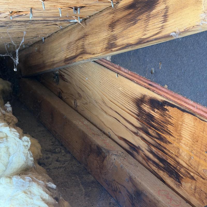 Roof framing with water damage stains in attic space Roof framing with water damage stains in attic space