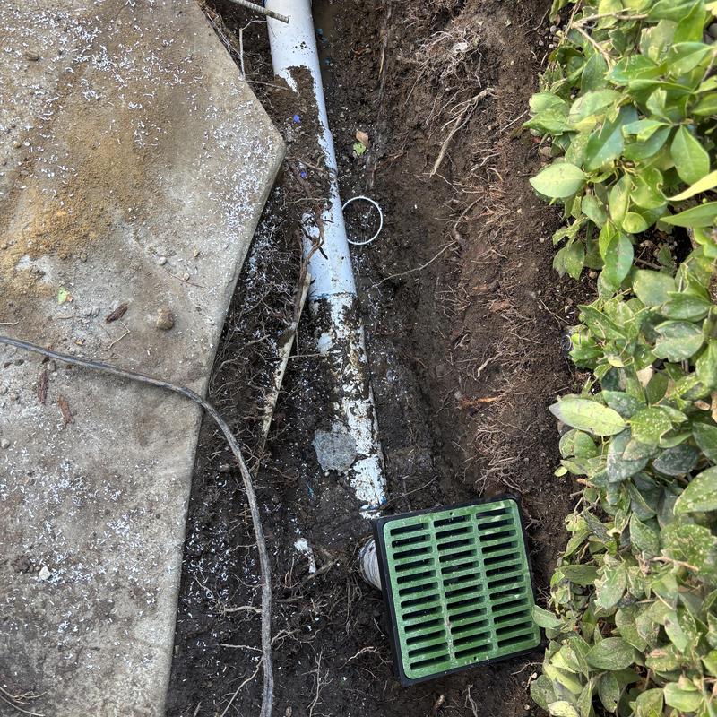 Storm drain pipe with green grate and root removal Storm drain pipe with green grate and root removal