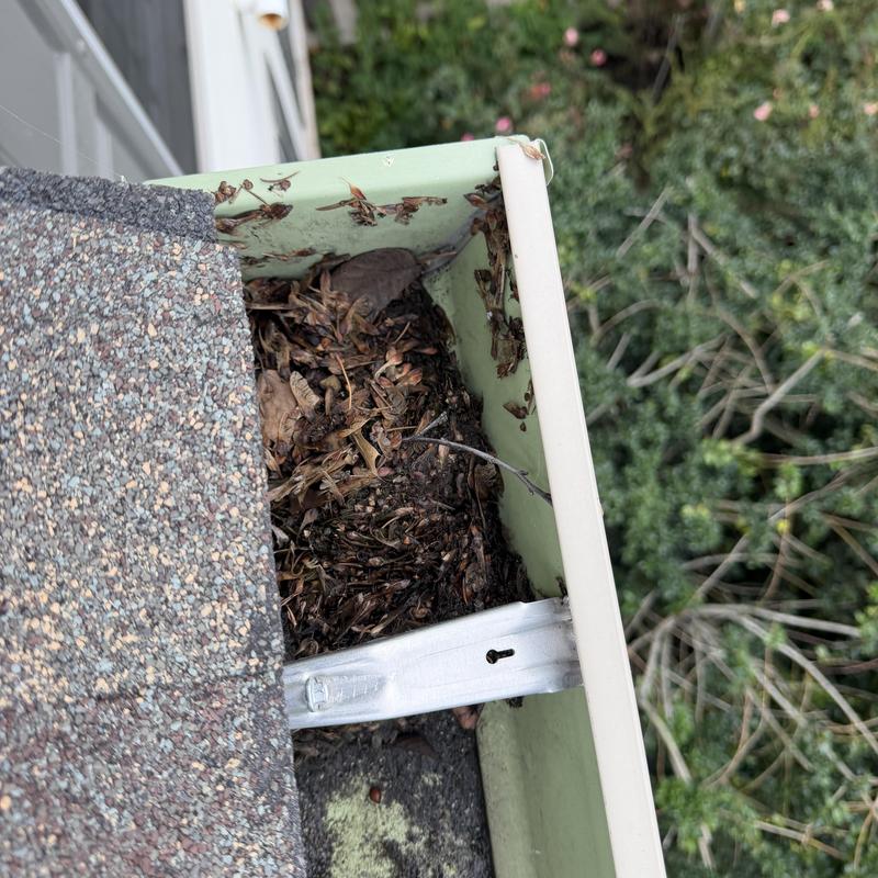 Aluminum K-style gutter clogged with leaves and debris Aluminum K-style gutter clogged with leaves and debris