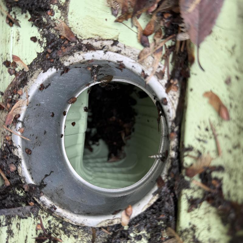 Gutter downspout opening clogged with leaves and debris Gutter downspout opening clogged with leaves and debris