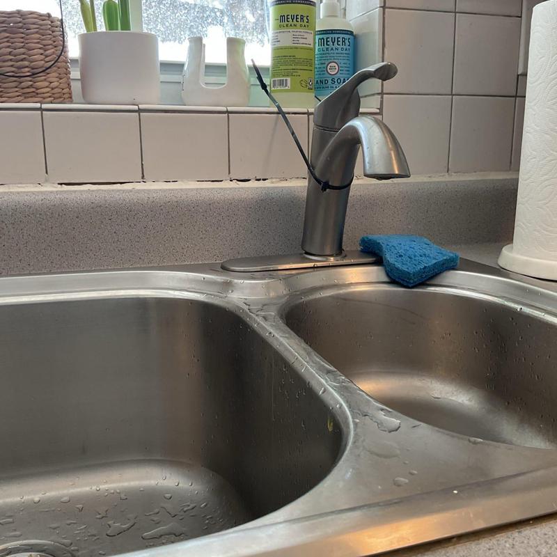 Kitchen faucet with dual stainless steel sink