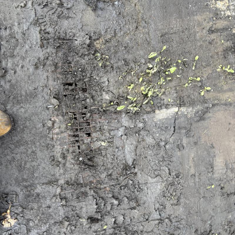 Storm drain grate with mud and debris buildup Storm drain grate with mud and debris buildup