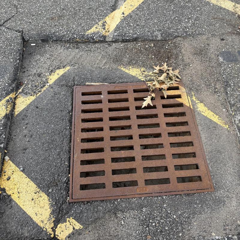 Storm drain grate with debris and leaves on asphalt Storm drain grate with debris and leaves on asphalt