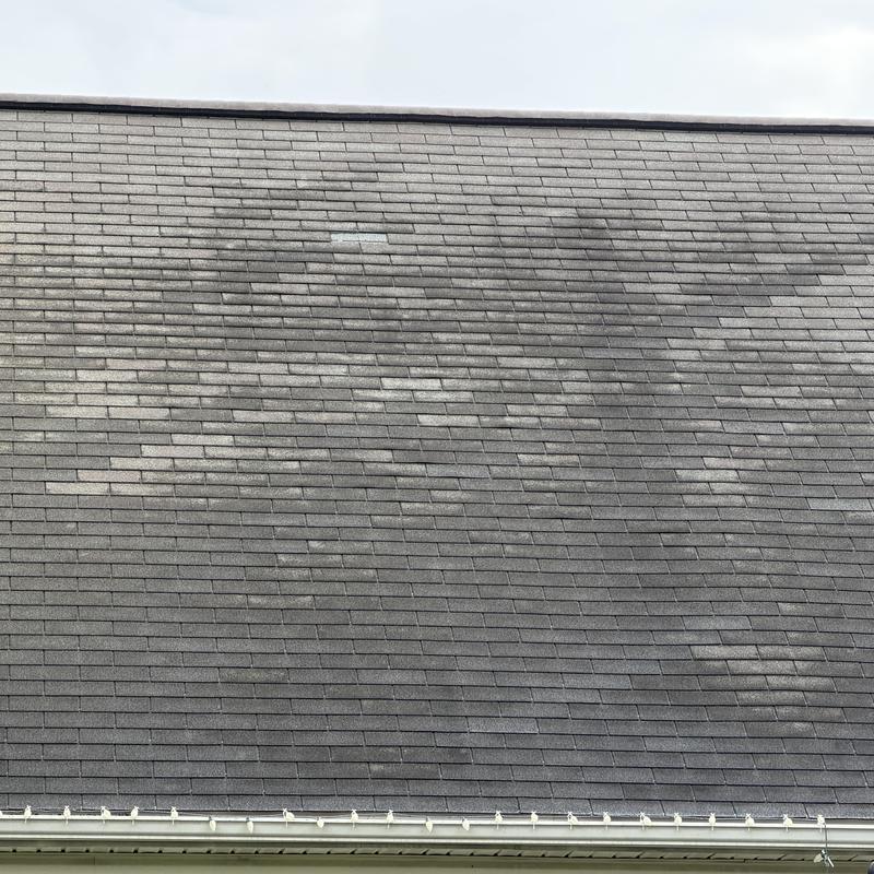 Asphalt shingle roof with visible discoloration and wear Asphalt shingle roof with visible discoloration and wear