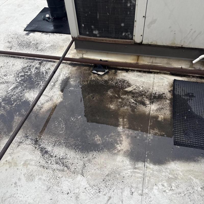 TPO commercial roof leak with standing water and debris