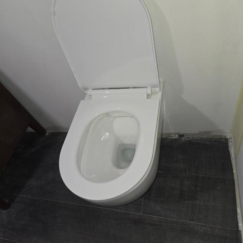Wall-mounted toilet bowl with seat and lid open Wall-mounted toilet bowl with seat and lid open