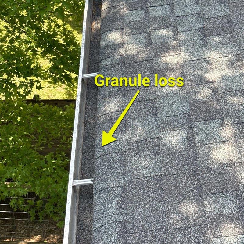 Asphalt shingle roof showing granule loss near gutter