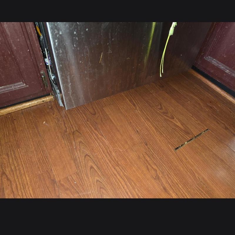 Dishwasher leaking diagnosis near hardwood floor panel Dishwasher leaking diagnosis near hardwood floor panel