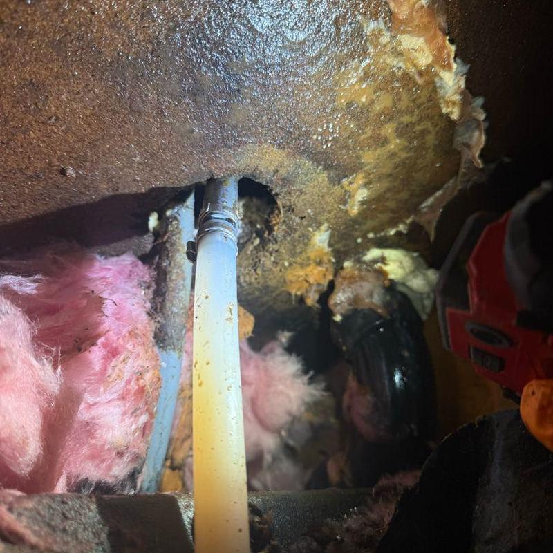 PEX water pipe leak repair in wall cavity PEX water pipe leak repair in wall cavity