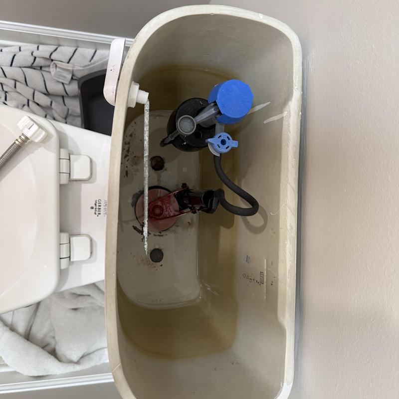 Toilet fill valve and flapper inside tank Toilet fill valve and flapper inside tank