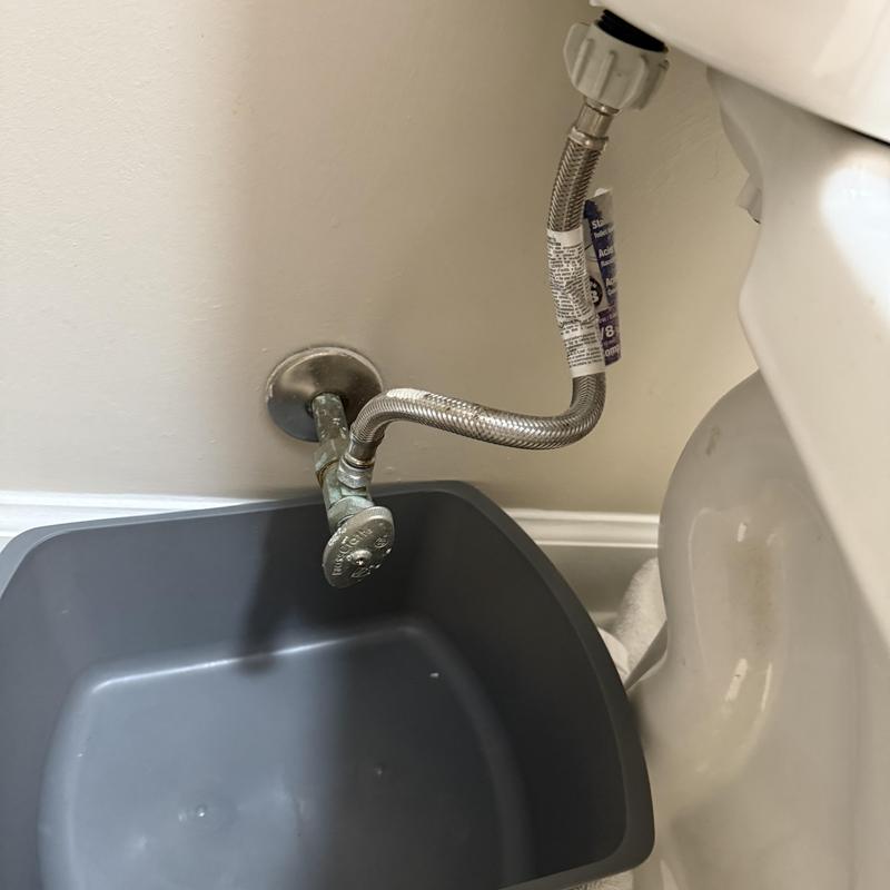 Toilet supply valve and braided supply line installation Toilet supply valve and braided supply line installation