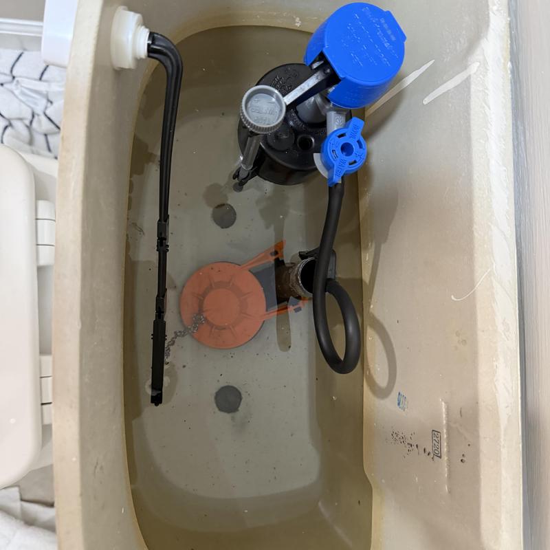 Toilet fill valve and flush mechanism replacement Toilet fill valve and flush mechanism replacement