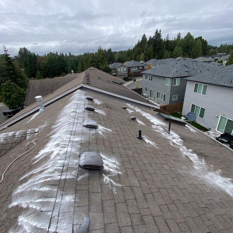 Asphalt shingle roof with applied moss treatment in Bothell