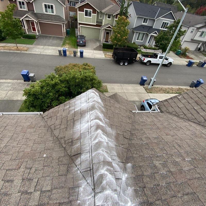 Roof ridge with professional moss treatment applied