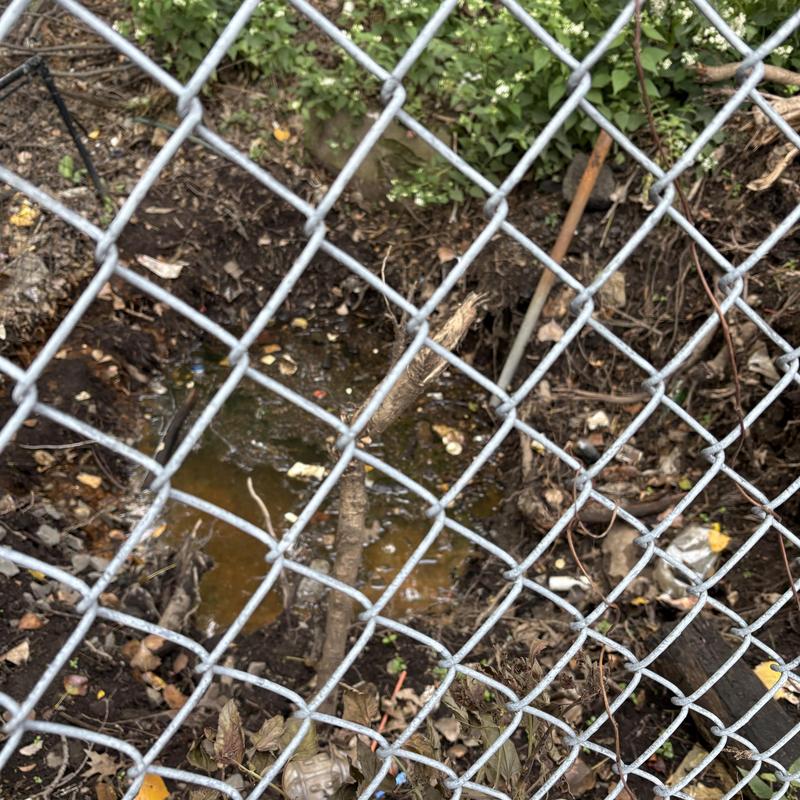 Storm drain clogged with debris behind chain-link fence Storm drain clogged with debris behind chain-link fence
