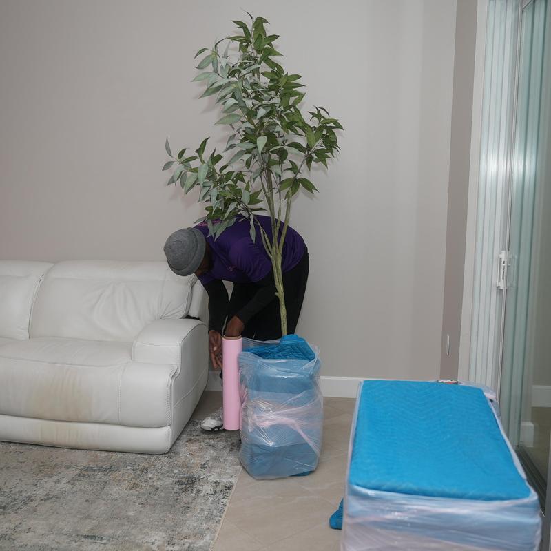 Indoor plant and furniture wrapped for local move
