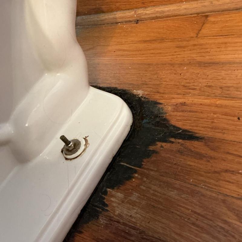 Toilet base with damaged wooden subfloor and flange area Toilet base with damaged wooden subfloor and flange area