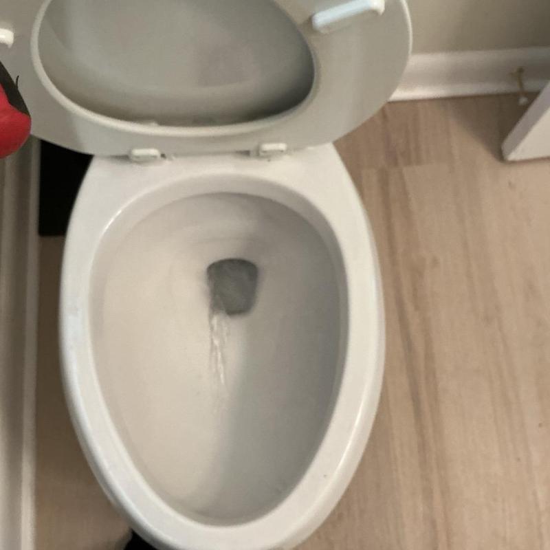 Toilet bowl flushing with open toilet seat Toilet bowl flushing with open toilet seat