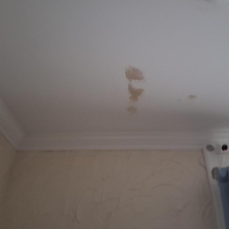 Ceiling water stains from roof leak damage