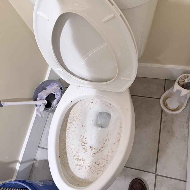 Toilet bowl with residual dirt after blockage clearing Toilet bowl with residual dirt after blockage clearing