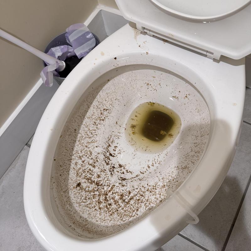 Toilet bowl with dirt and blockage before cleaning Toilet bowl with dirt and blockage before cleaning