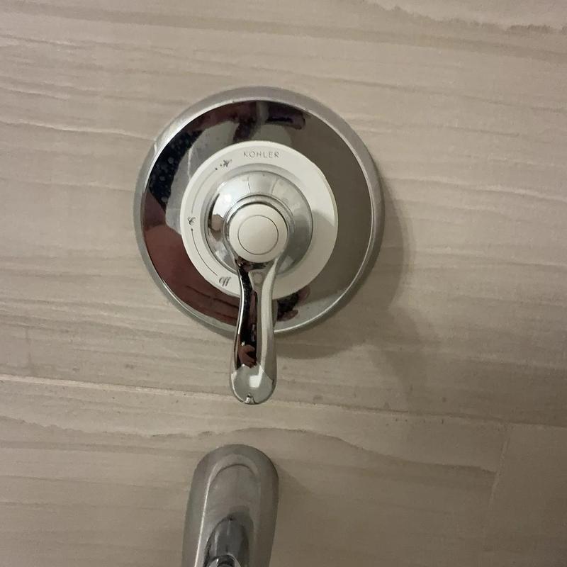 Shower valve handle and trim on tiled wall