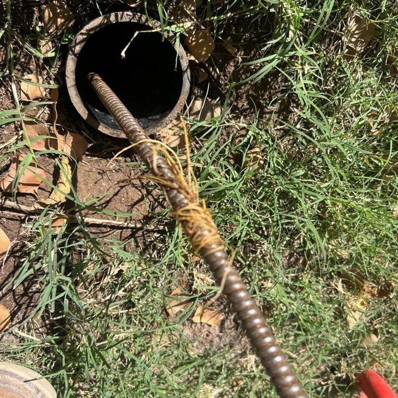 Main sewer line cleanout with root obstruction removal