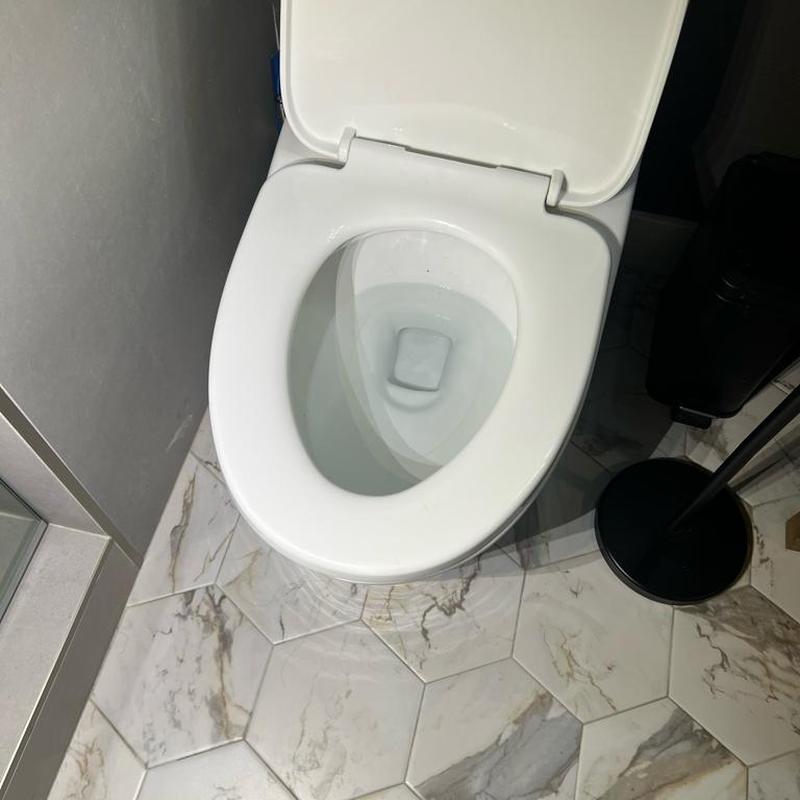 Toilet bowl with clean water after plumbing service