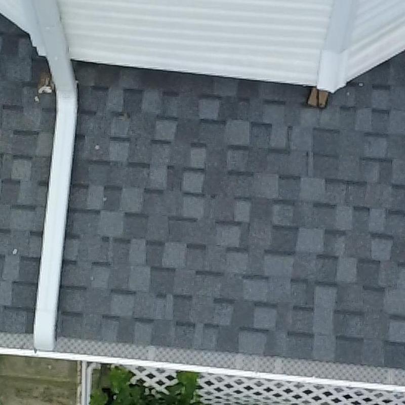 Shingle roof with white gutter and siding repair
