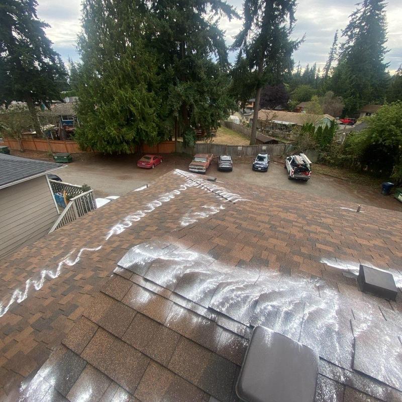Asphalt shingle roof with moss treatment application
