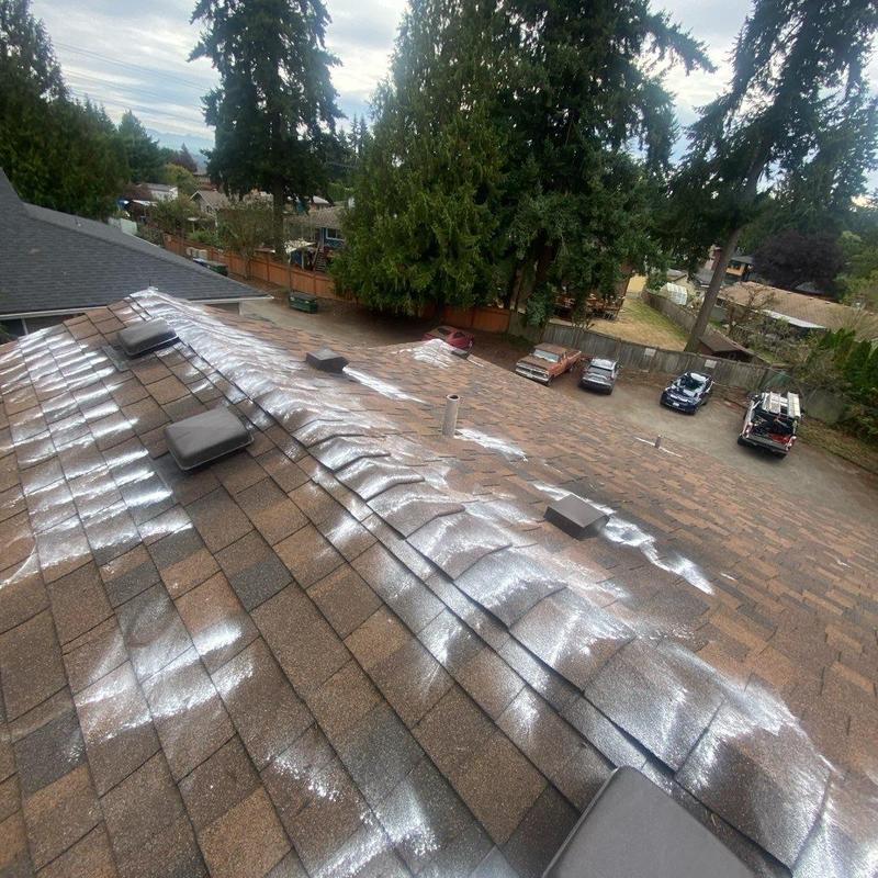 Roof shingles with moss treatment application in Everett