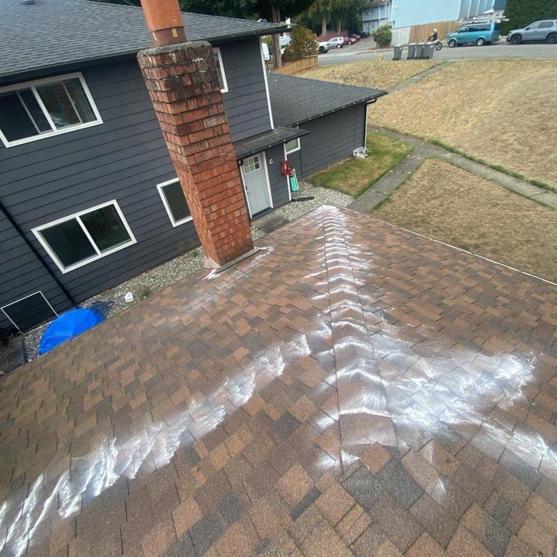 Roof shingle moss treatment with cleaning marks