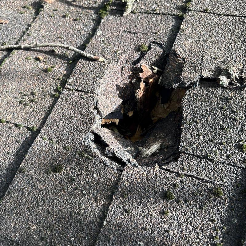 Asphalt shingle roof with puncture hole from branch