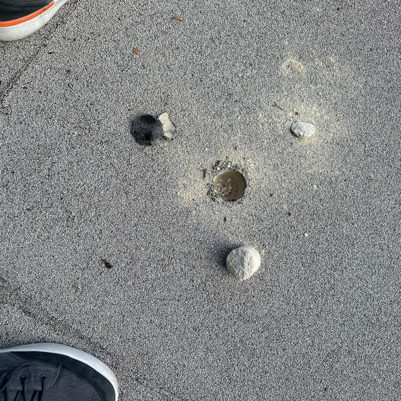 Commercial roof hail damage with embedded stones and dents Commercial roof hail damage with embedded stones and dents