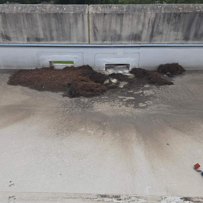 Roof drainage scuppers clogged with debris buildup on membrane roof Roof drainage scuppers clogged with debris buildup on membrane roof