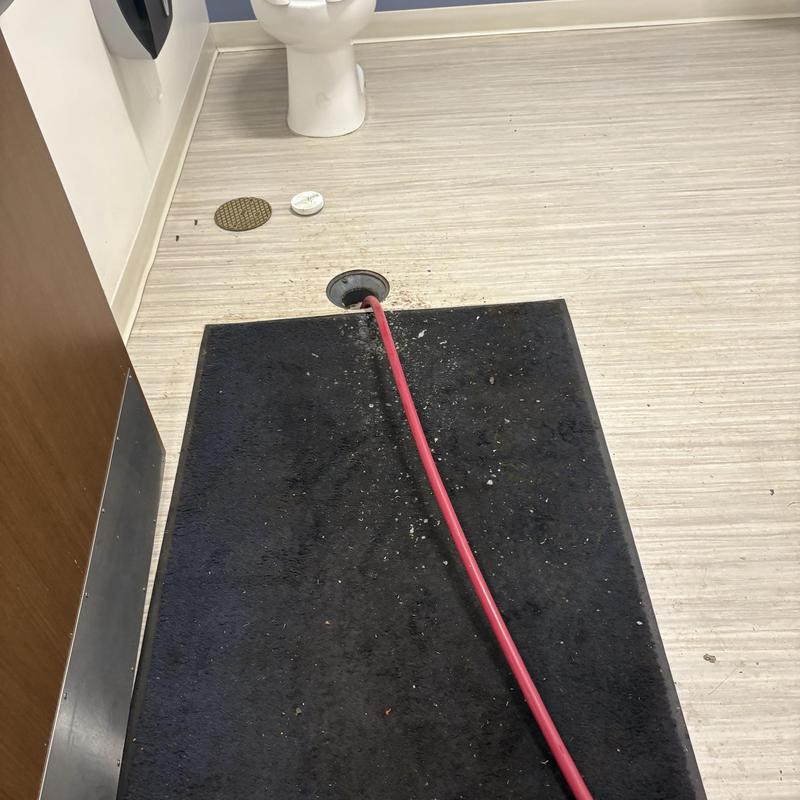 Floor drain with plumbing snake cable in restroom Floor drain with plumbing snake cable in restroom
