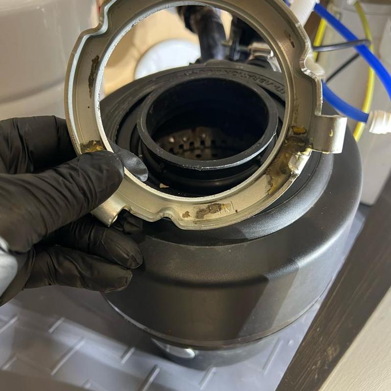 Garbage disposal mounting ring and blade assembly removal