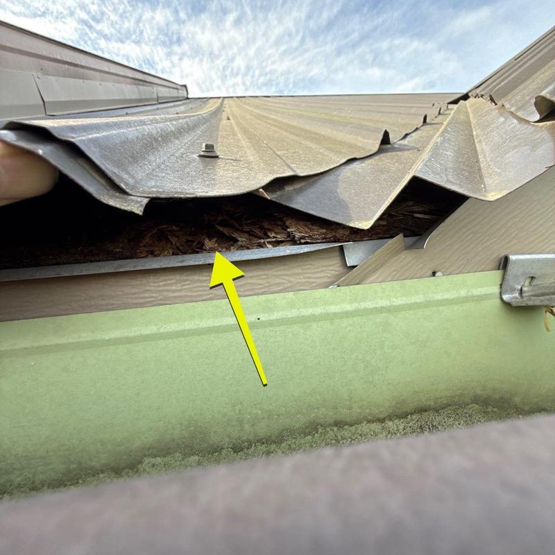 Metal roof panel damage with exposed wood decking