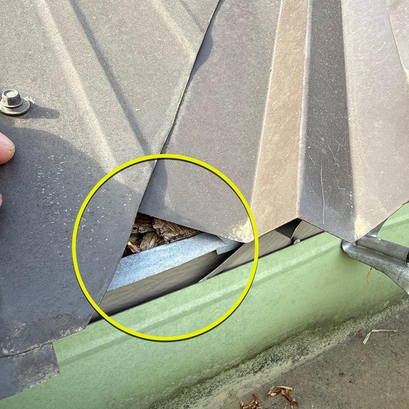 Metal roofing panel with tear near drip edge