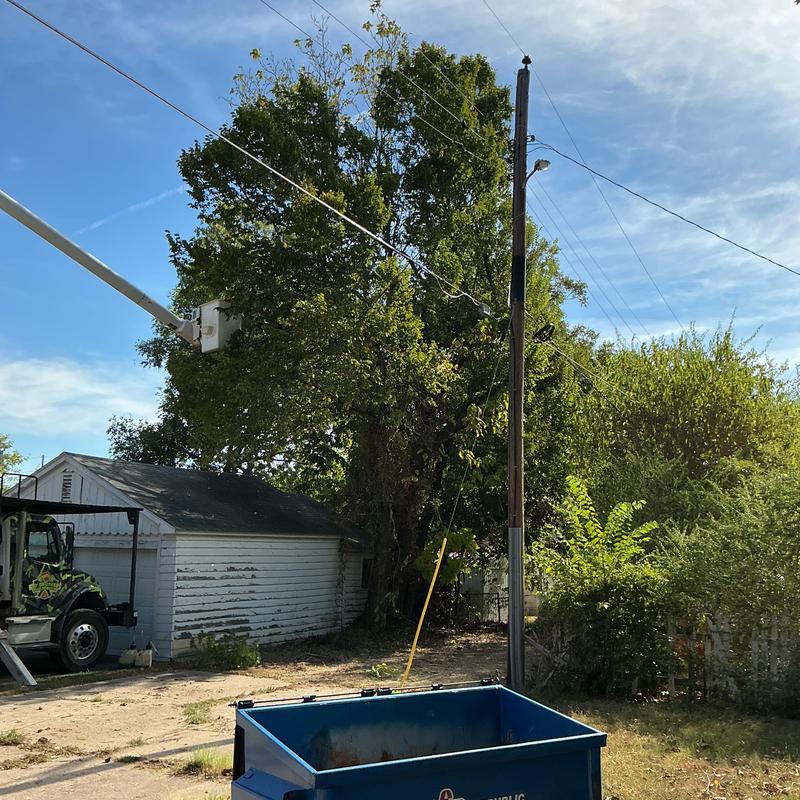 Trees over power lines with bucket truck in use