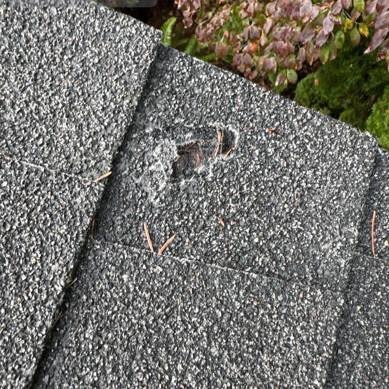 Asphalt roof shingles with visible damage and wear