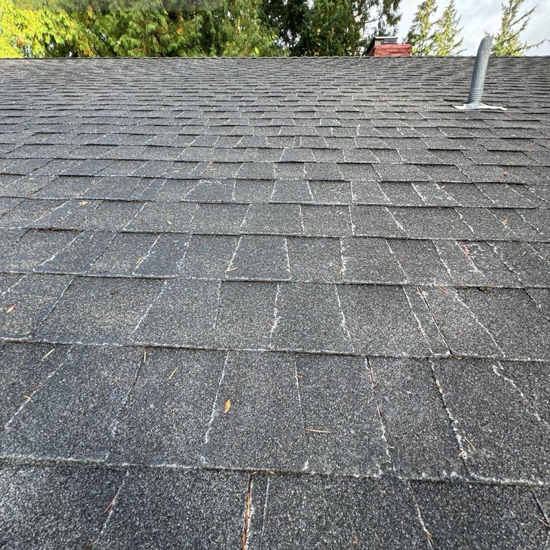 Asphalt shingle roof with wear and granule loss