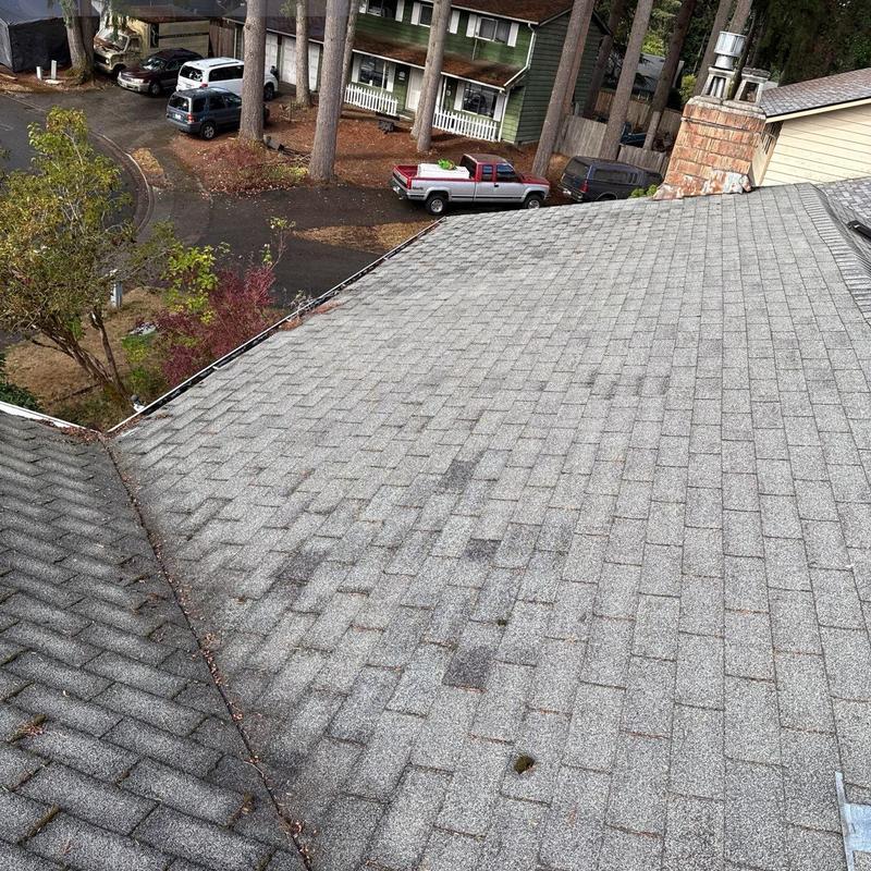 Asphalt shingle roof with visible wear and debris