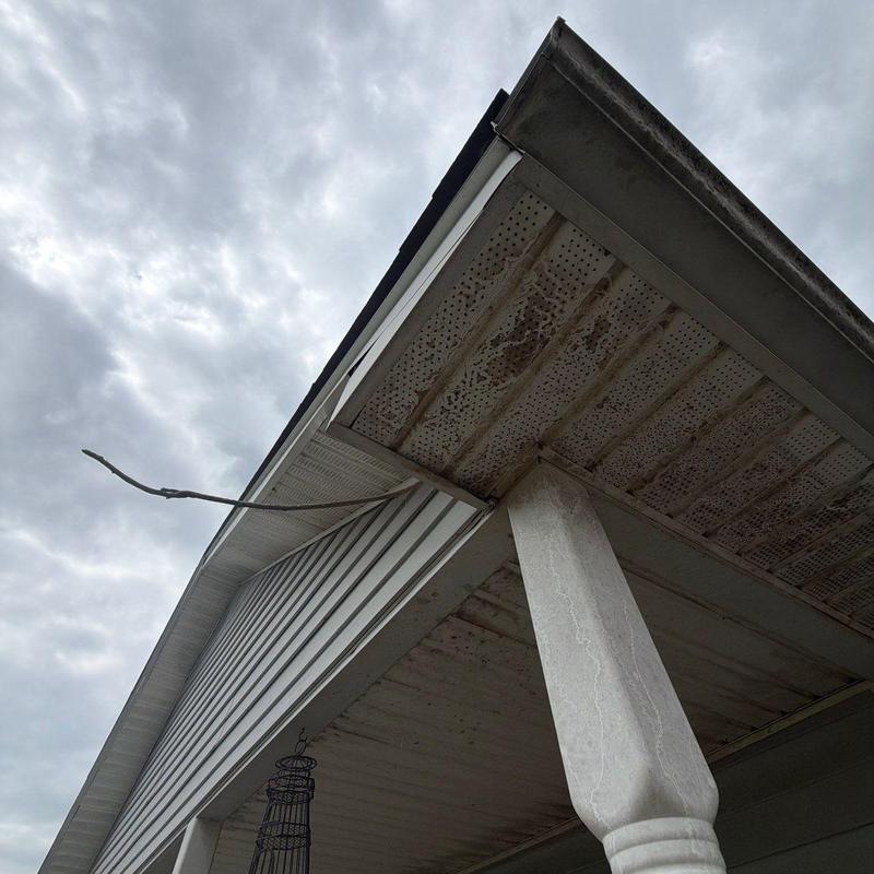 Soffit and fascia with water damage and debris buildup