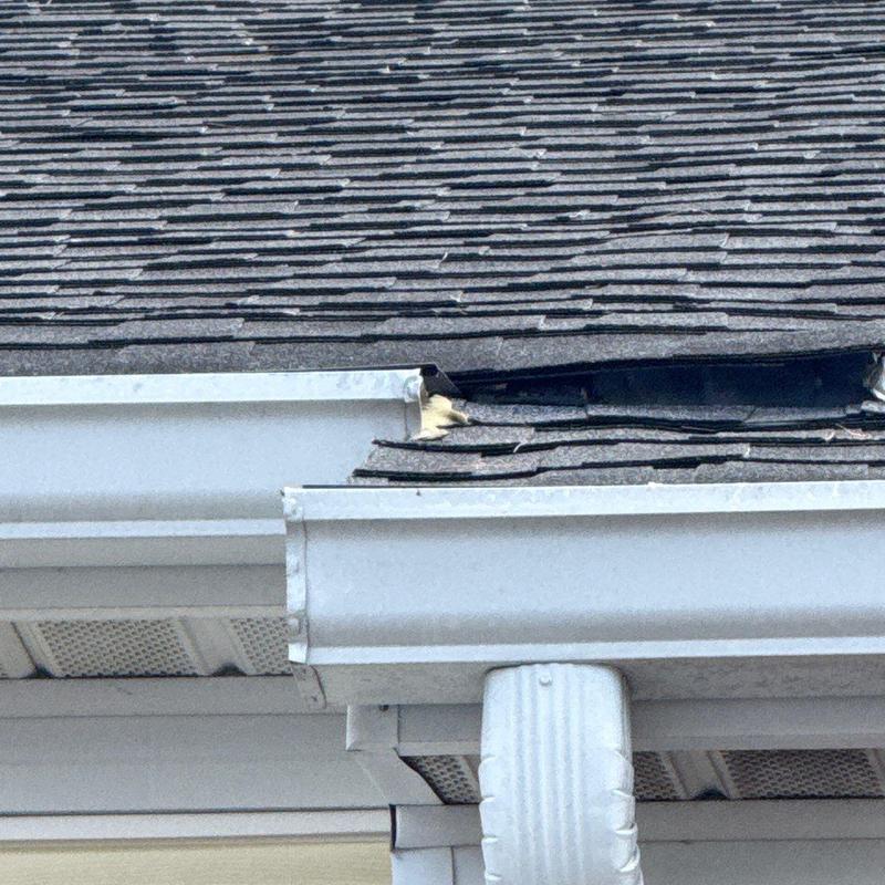 Shingle roof with hail damage near gutter edge